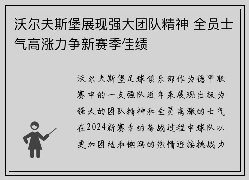 沃尔夫斯堡展现强大团队精神 全员士气高涨力争新赛季佳绩