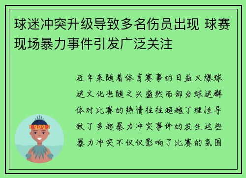 球迷冲突升级导致多名伤员出现 球赛现场暴力事件引发广泛关注