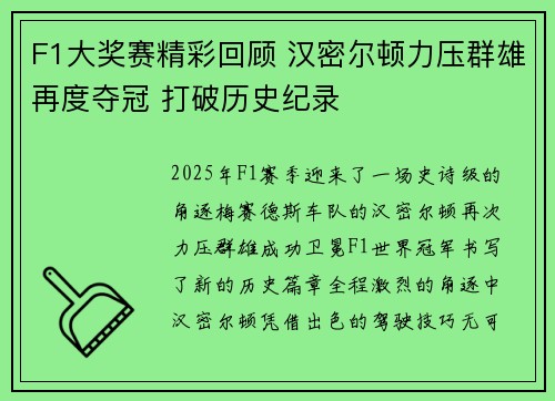 F1大奖赛精彩回顾 汉密尔顿力压群雄再度夺冠 打破历史纪录